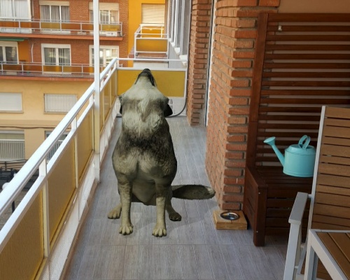 ¿Cómo puede haber un lobo en mi terraza?