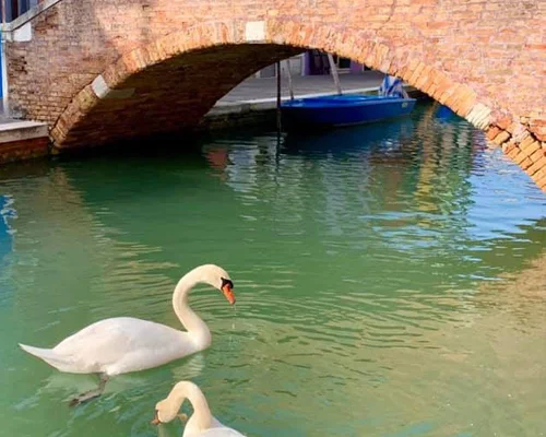 El aislamiento reduce la contaminación en Venecia