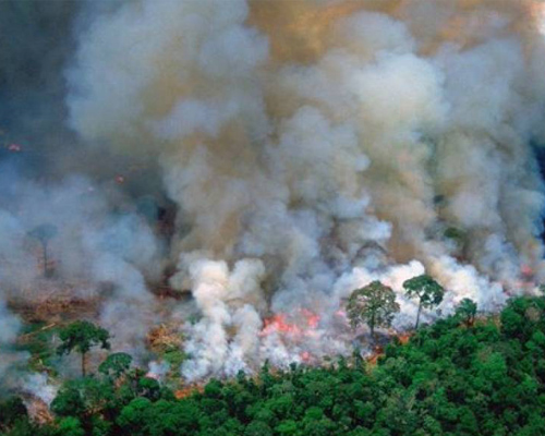 La selva del Amazonas arde sin control