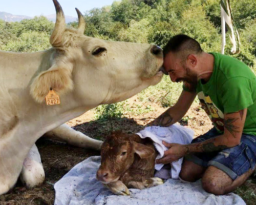 Santuario Gaia, el refugio de los animales de granja