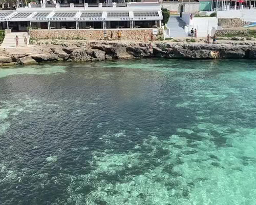 Una aguja imperial obliga a desalojar una cala de Menorca