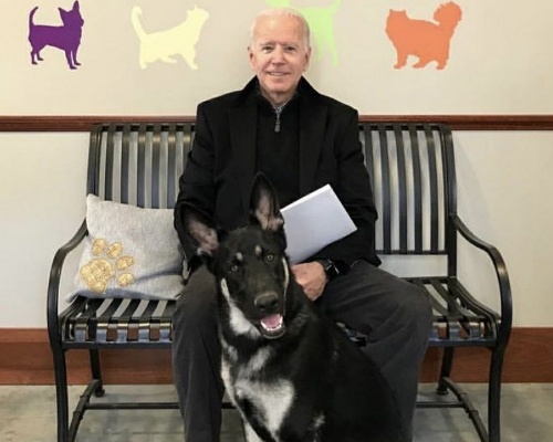 Major, el primer perro adoptado de la Casa Blanca