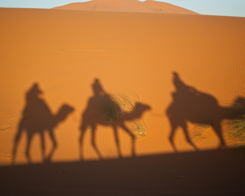 ¿Los Reyes Magos llegan en camello o en dromedario?