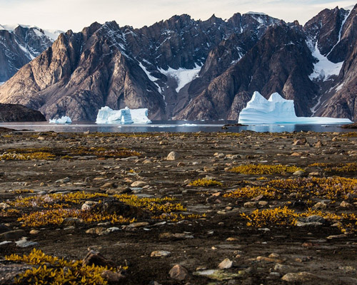 El Ártico, en alerta: fundido del hielo al verde