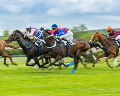 Tres caballos mueren en el Grand National 2023 en Reino Unido