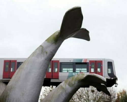 La cola de una ballena impide que un metro caiga al vacío