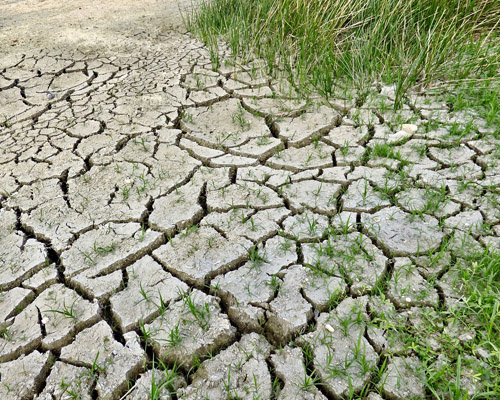 Madrid tendrá el clima de Marrakech en 2050