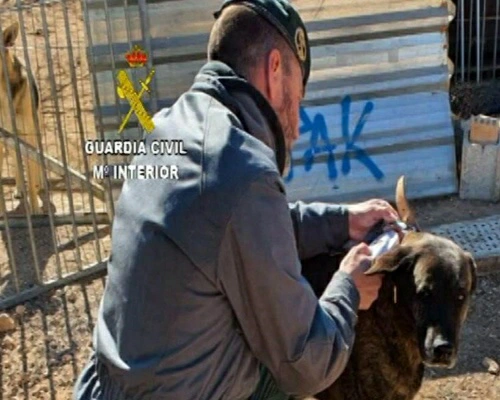 Sacrifica 500 animales sin autorización en Tarragona