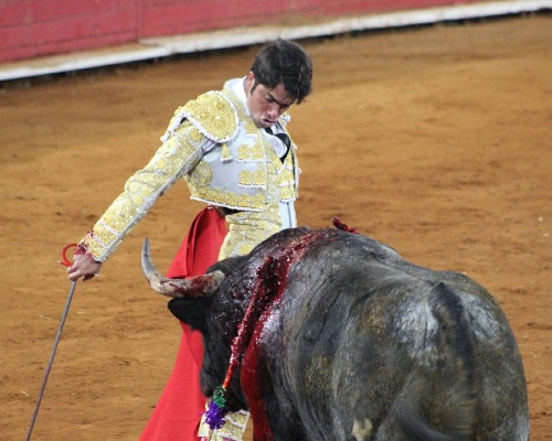 Un juez prohíbe las corridas de toros en la Monumental de México