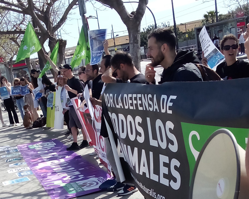 Activistas protestan en el Oceanográfic de Valencia contra el cautiverio animal