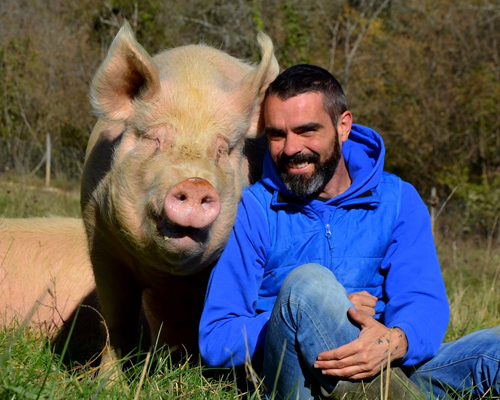 ¿Son tan distintos los animales de granja a nuestros perros o gatos?