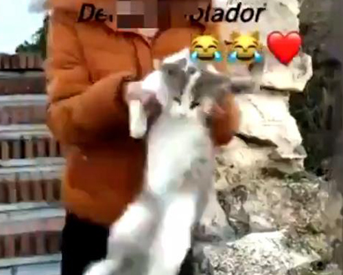 Publican el vídeo de una joven lanzando un gato por un barranco