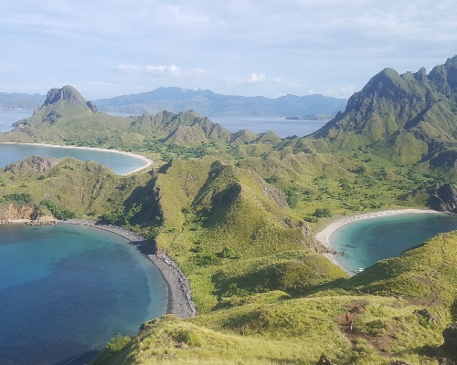 El Jurassic Park de Komodo sigue adelante a pesar de la polémica