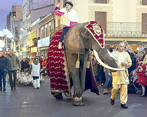 El bochorno de Medina del Campo y sus elefantes