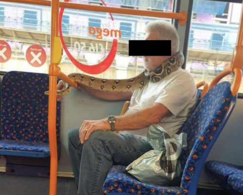 Un hombre usa una serpiente como mascarilla en Reino Unido