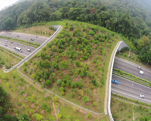 ¿Cómo será el puente que protegerá la fauna salvaje de Los Ángeles?