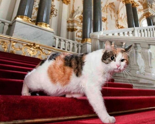Un mecenas deja su herencia a los gatos del Hermitage