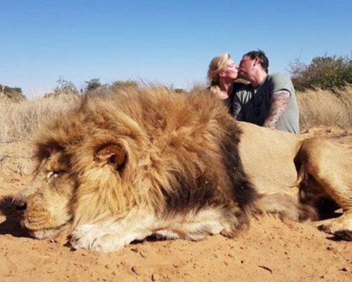 Una pareja se besa junto al cadáver de un león