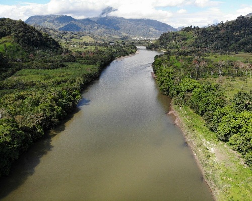 Crece la deforestación en la Amazonía en abril
