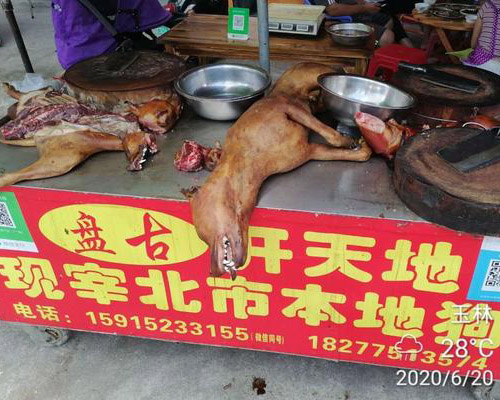 La carne de perro vuelve al Festival de Yulin
