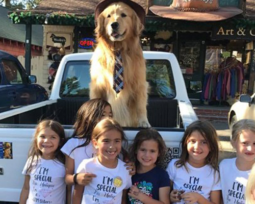 Un Golden Retriever, elegido alcalde en Idyllwild