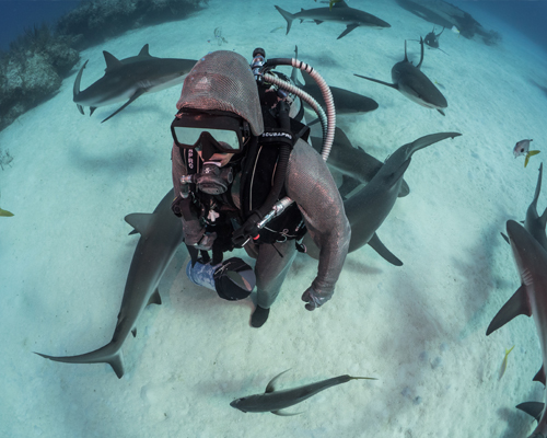 Bailando con tiburones: Entrevista a Cristina Zenato