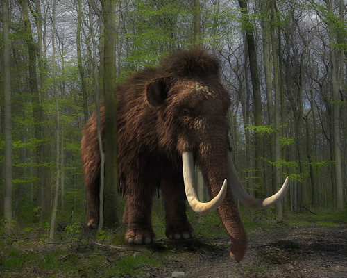 El mamut, más cerca de su resurrección