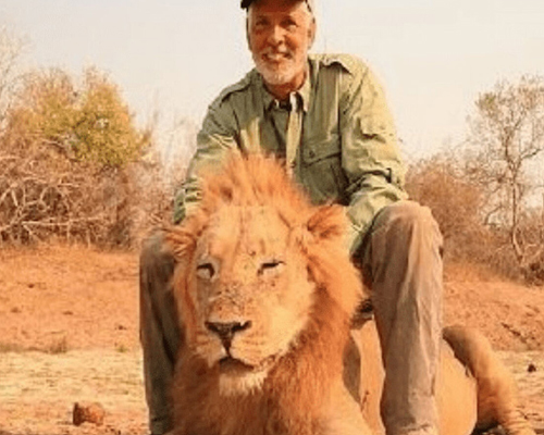 Identificado el cazador que mató a un león dormido